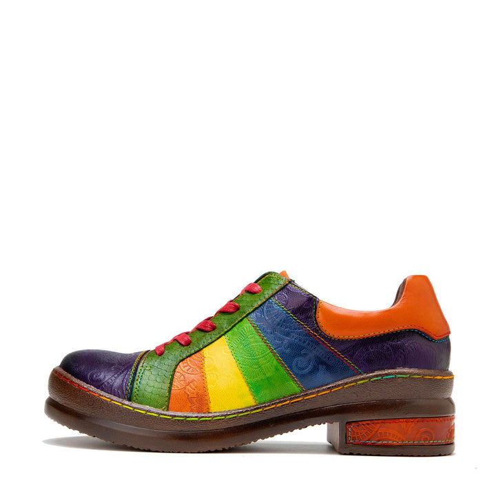 Sapatos de arco-íris polidos à mão retro